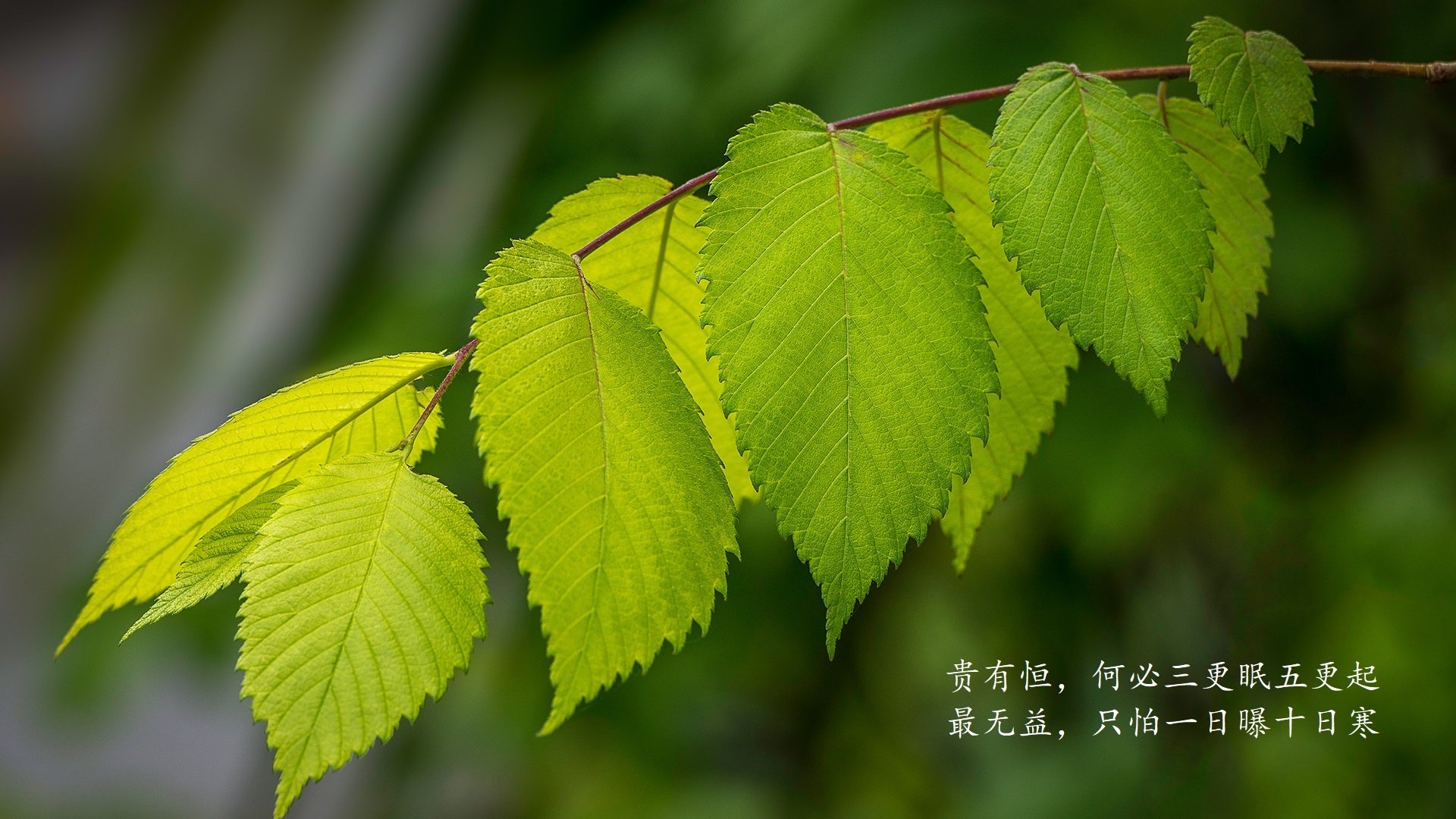 家用照明一般用多大的电线(家用照明多少V是正常呢)
